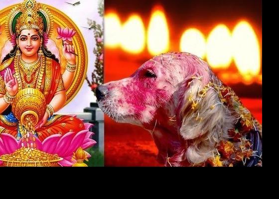 कुकुर तिहार र लक्ष्मी पूजा एकै दिन मनाइदै‌
