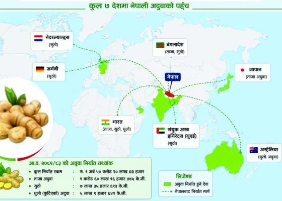 सात देशमा नेपाली अदुवा निर्यात, १ अर्ब ५० करोड  आम्दानी 