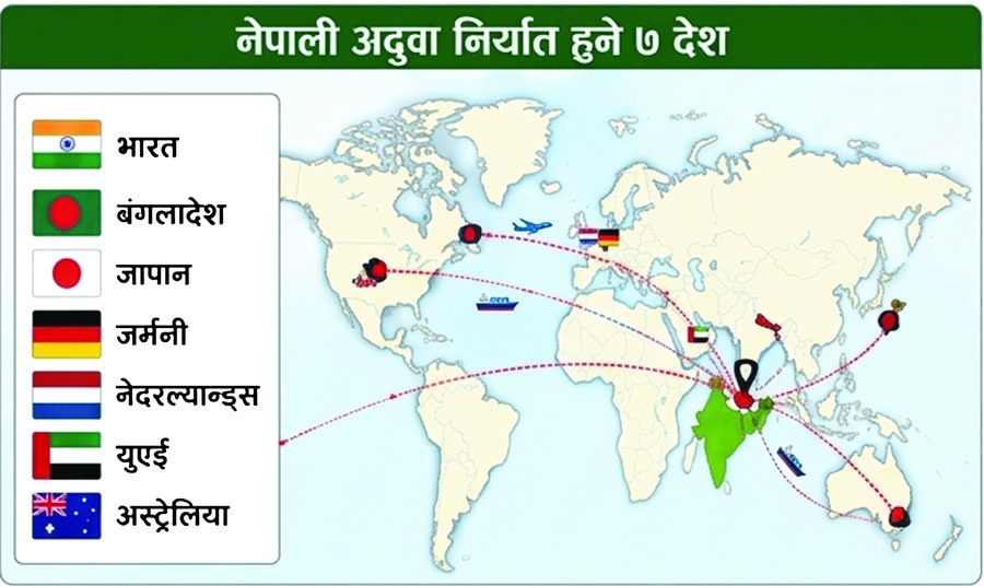 niryat country