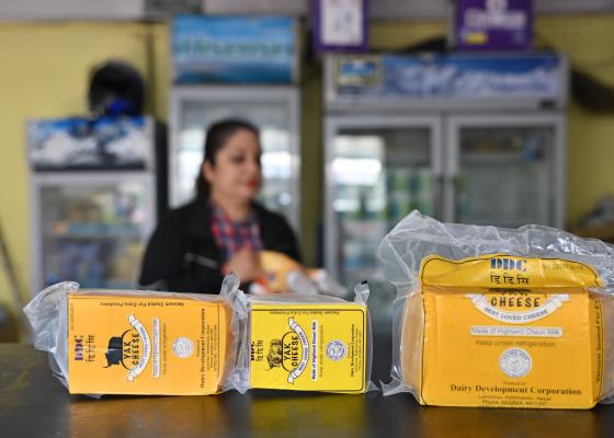 दुबई पुग्यो डीडीसीको घिउ र याक चिज, स्वदेशमा अभाव 